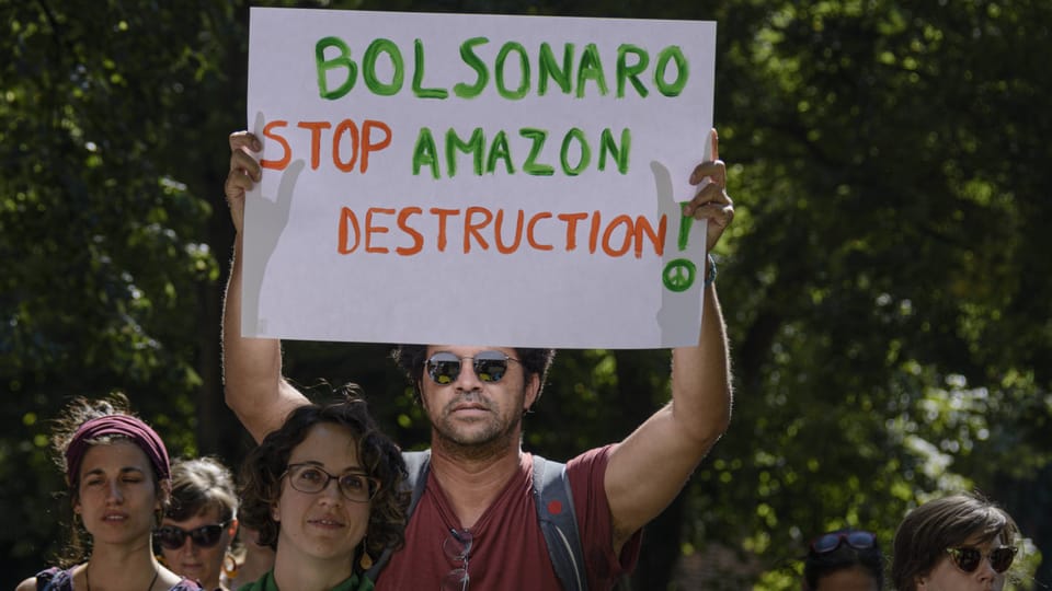«Adoptiert einen Park»: Brasilien reagiert auf internationale Kritik an Regenwald-Zerstörung