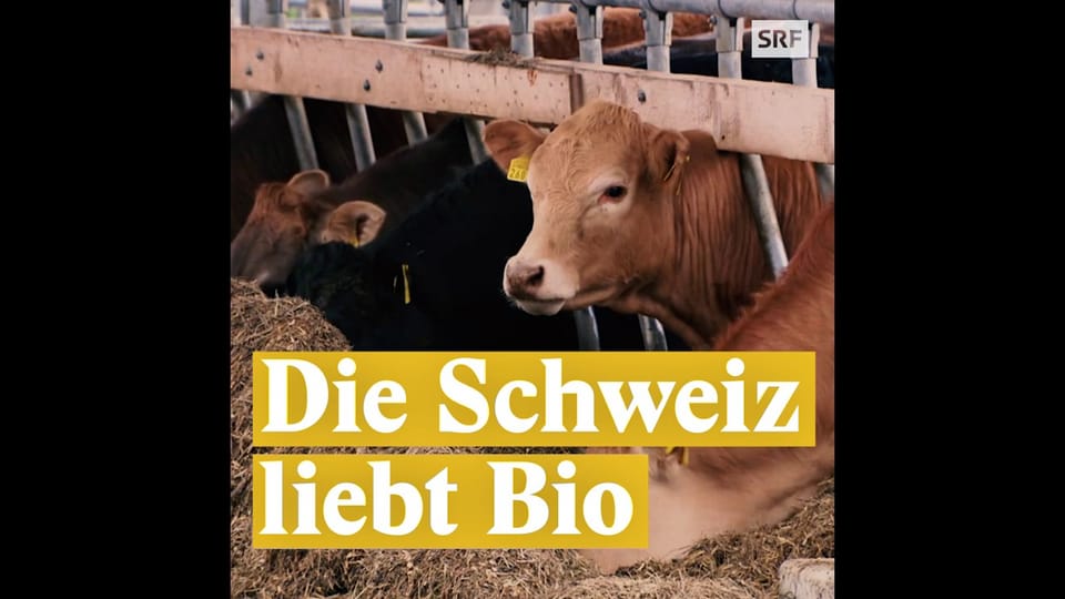 Aus dem Archiv: Die Schweiz liebt Bio