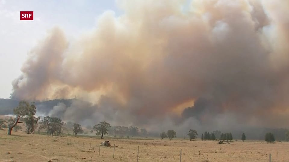 Incendis en l'Australia