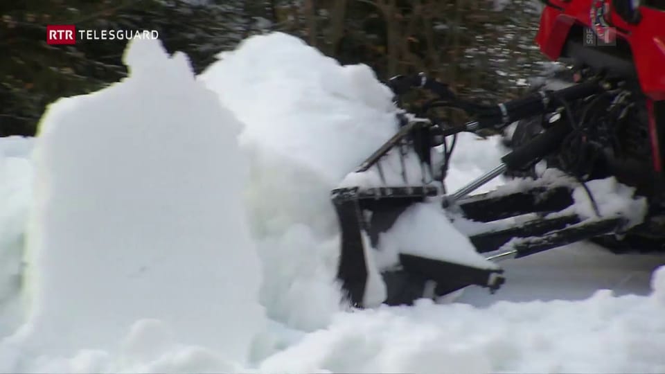 Snow-farming a Tavau maina success