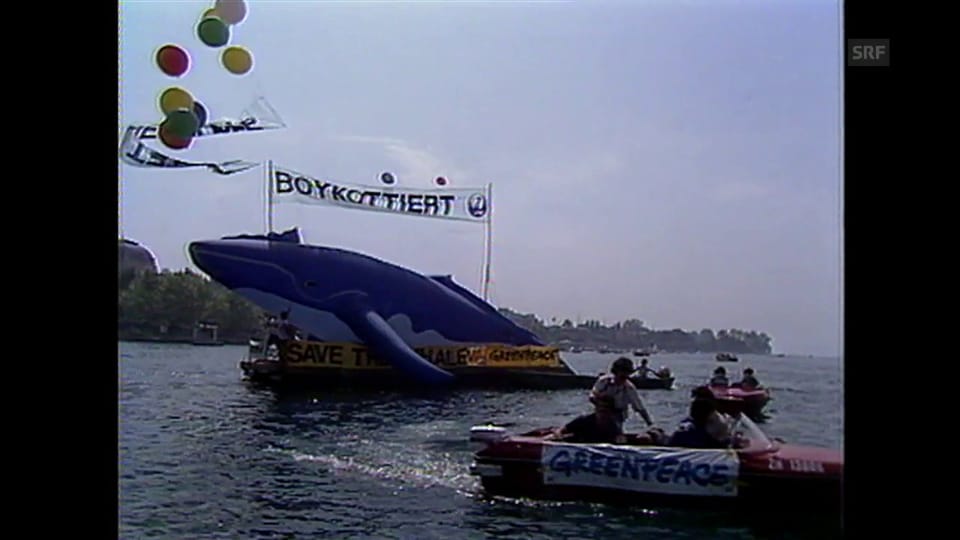 Aktion auf dem Zürichsee gegen Walfang 1985