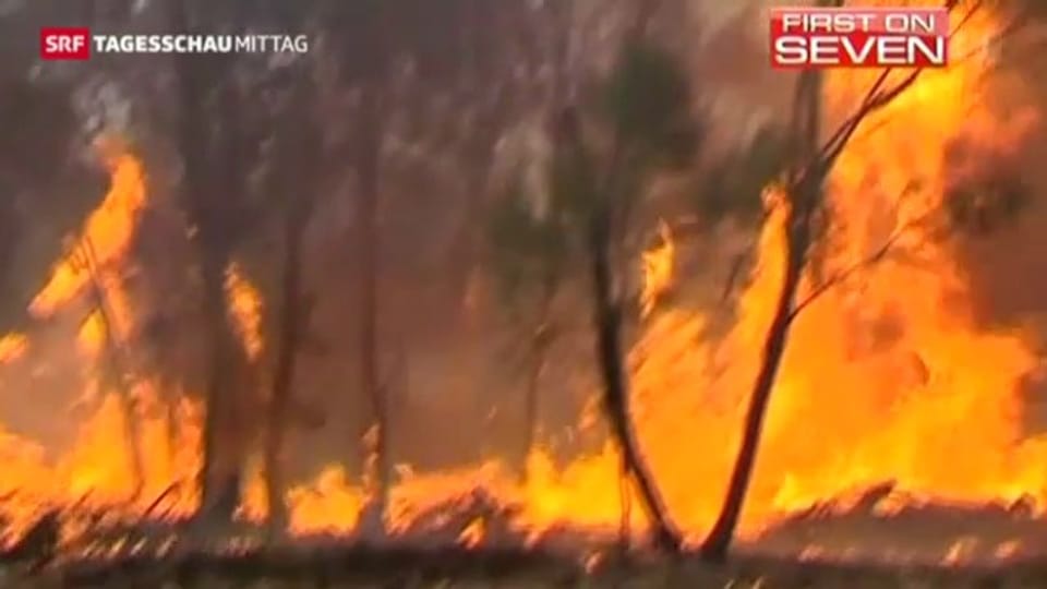 Entsprannung bei den Bränden in Australien