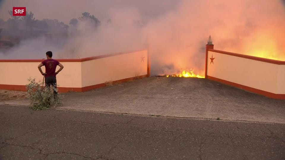 In Portugal toben Waldbrände