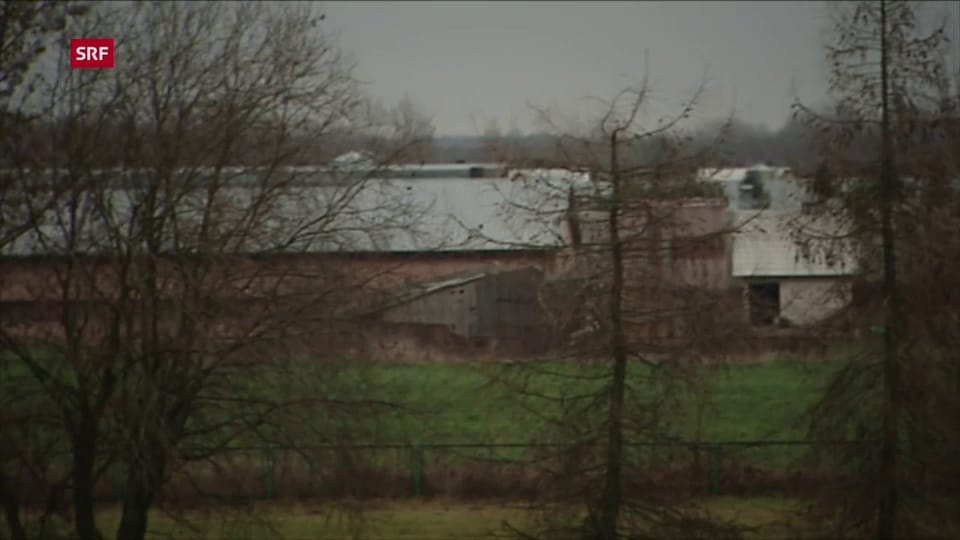Betroffene Geflügelfarm in Polen