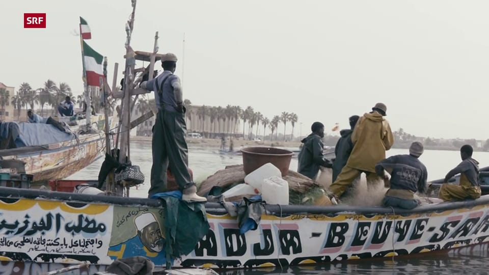 Senegal: Tausende wagen die gefährliche Flucht über den Atlantik