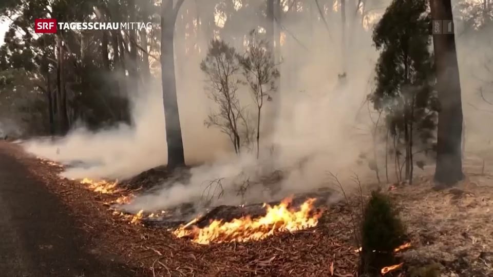 Australien: Verbrannte Fläche doppelt so gross wie die Schweiz