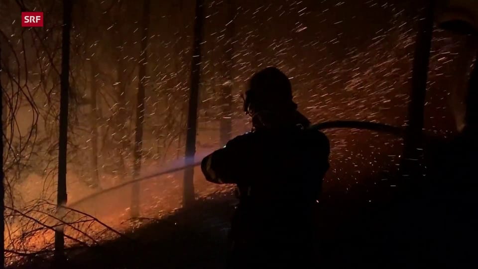 Im Nationalpark Böhmische Schweiz lodern die Flammen weiter (Aufnahmen vom 26.7.)