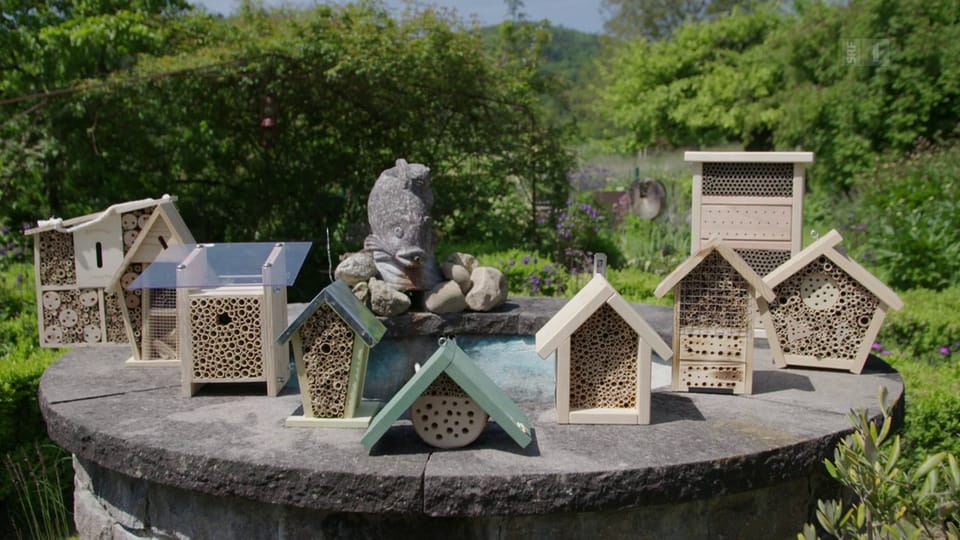 Bienenhotels im Test: Schönes Gasthaus oder Todesfalle?