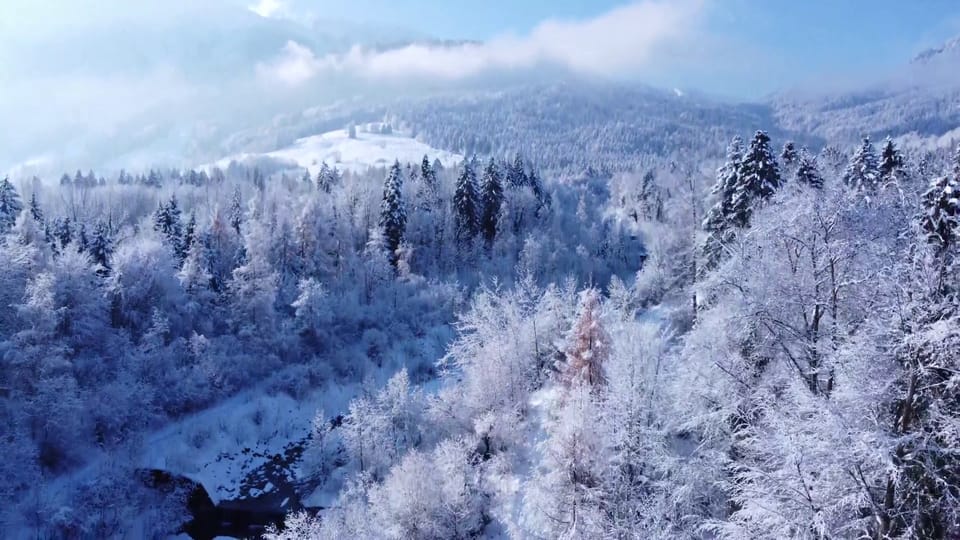 Drohnenaufnahme des winterlichen Waldes, Blumenstein/BE, 13. Dezember, Tizian Folly