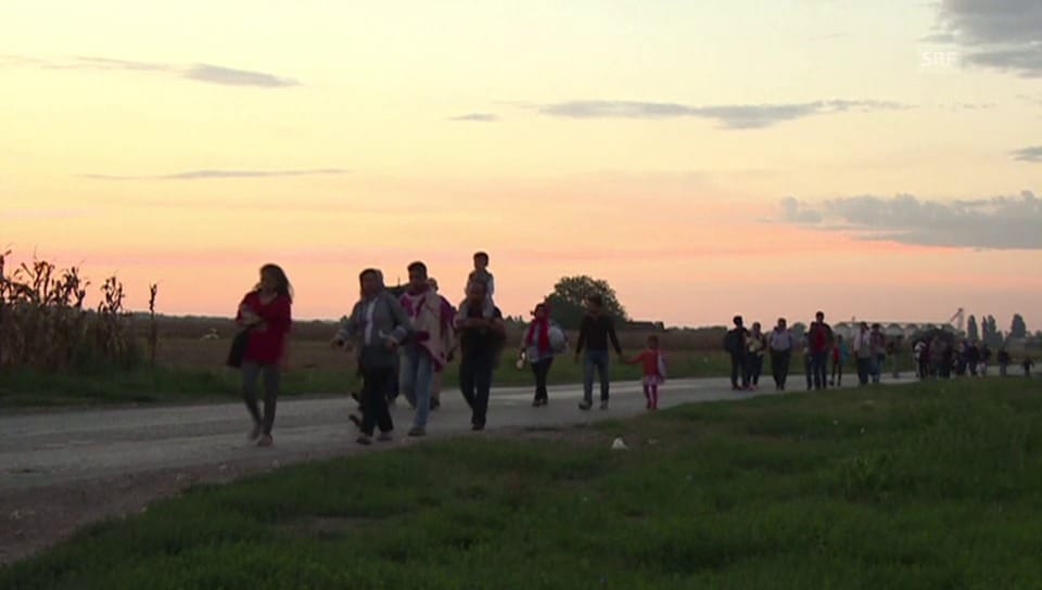 Flüchtlinge auf dem Weg zur kroatischen Grenze (unkomm.)