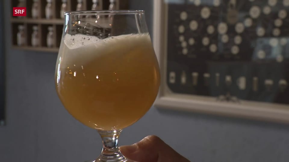 Was verstehen Experten und Expertinnen unter einem guten IPA-Bier?