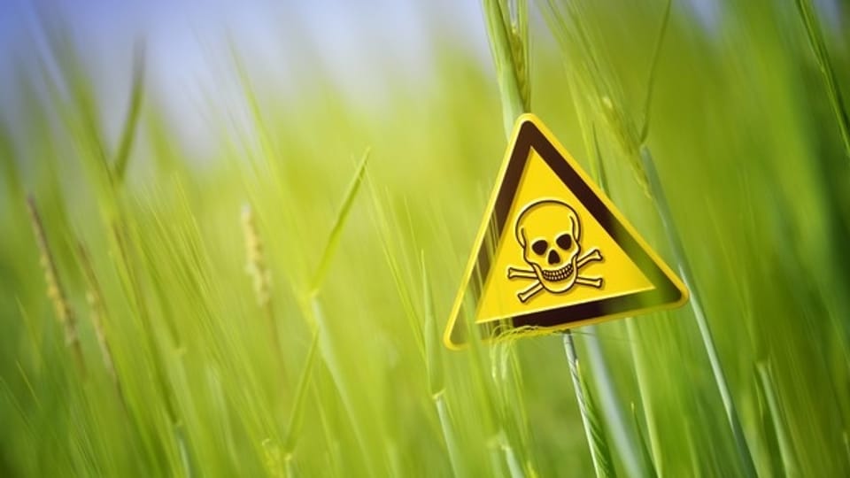 Pestizide im Essen – Wie gefährlich sind die Agrargifte?