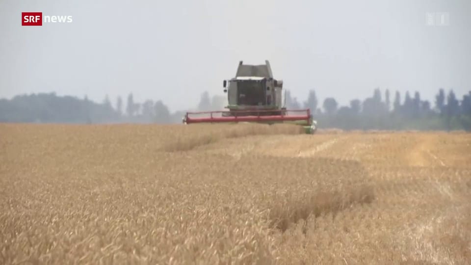 Archiv: Ukrainische Bauern haben Mühe, Getreide zu exportieren