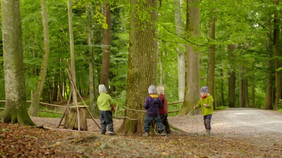 Kinderkrippen im Wald: Können sie Kindern in der Entwicklung helfen?