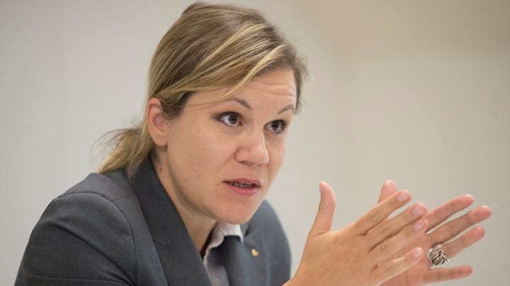 Gemeinderätin Silvia Steidle zum Asbestfund (4.9.2014)