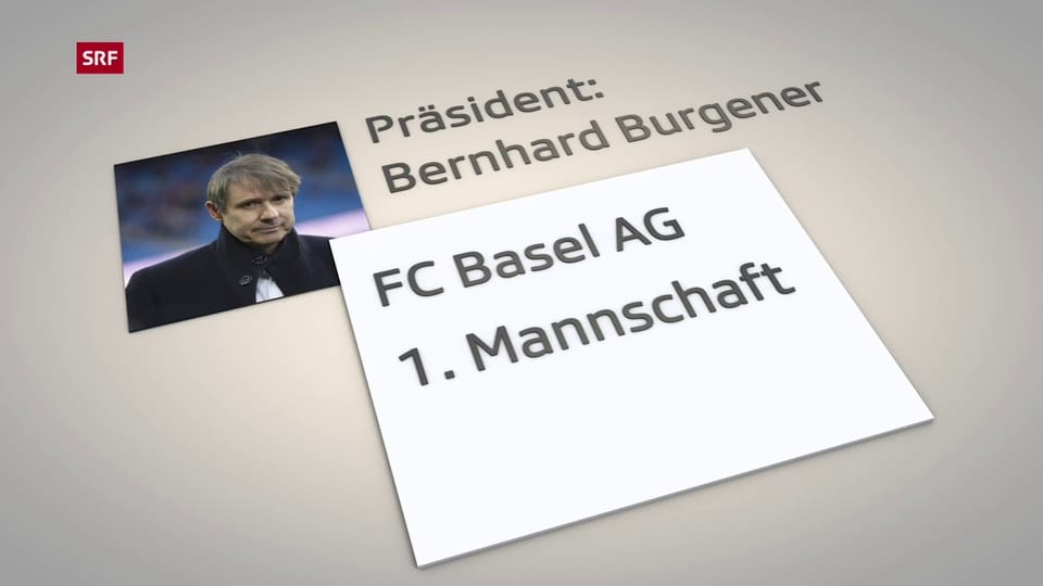 Grafik Organisation FCB