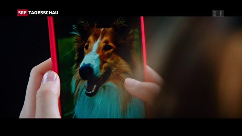 «Lassie» neu im Kino