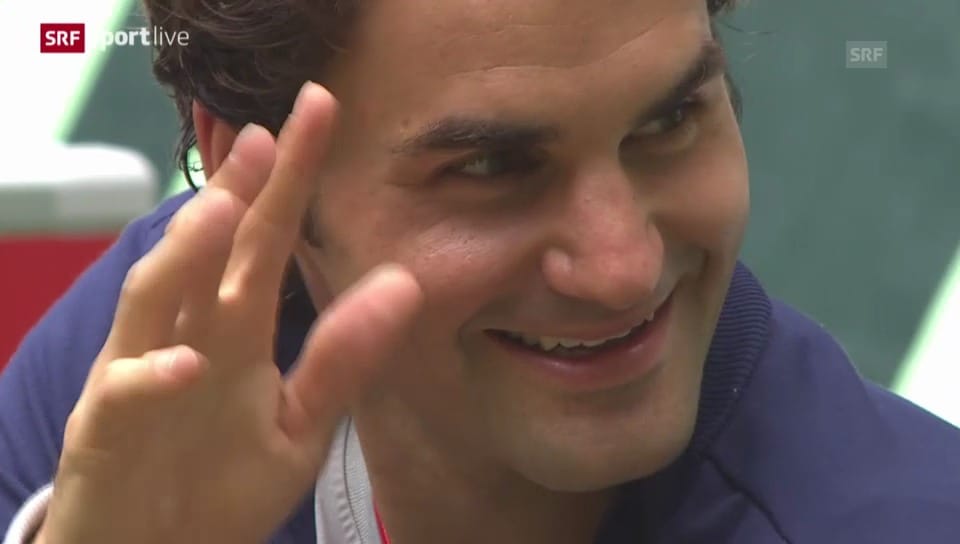 Zusammenfassung Federer - Falla