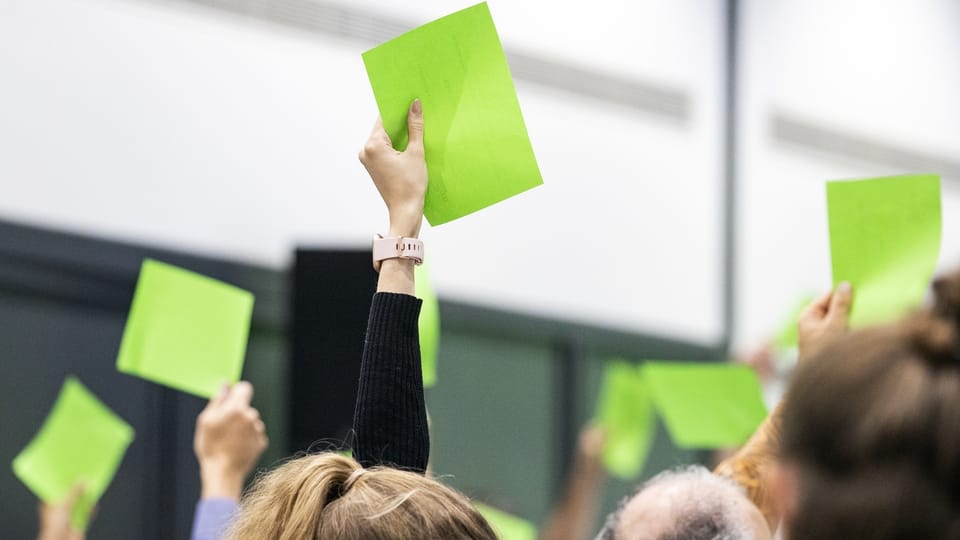 Eher keine Kandidatur der Grünen für den Bundesrat
