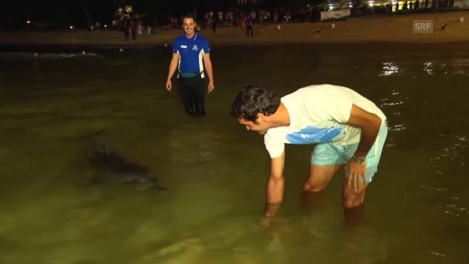 Federer bei der Delfin-Fütterung: «Habe ein bisschen Angst»