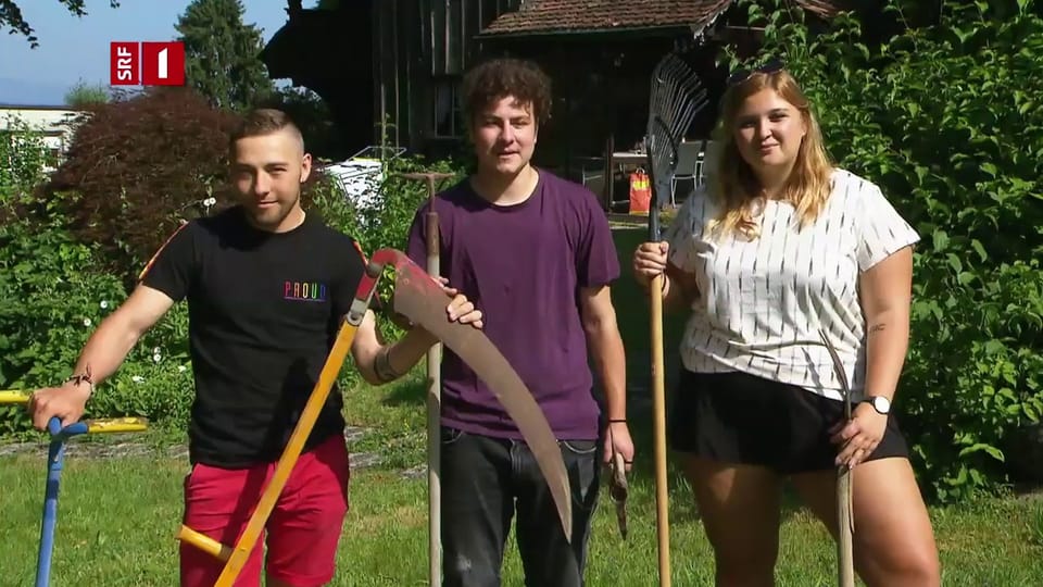 Trailer «Die Gartenbauer aus Oberwil»