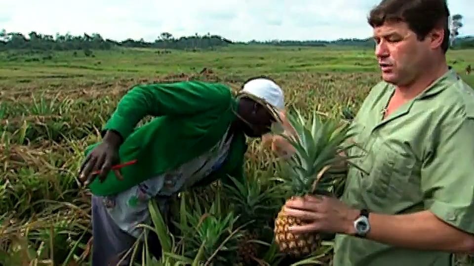 «Der Kampf des Ananaskönigs»: Der DOK-Film aus dem Jahr 2010