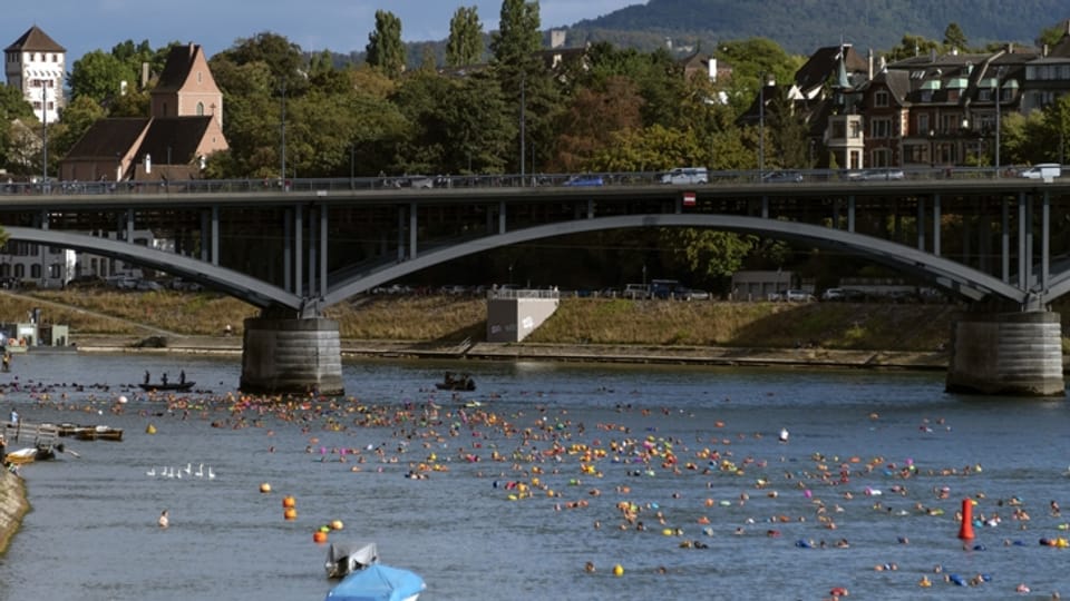 Seit dem Temperaturanstieg Anfang Woche tummeln sich wieder unzählige Schwimmerinnen und Schwimmer im Rhein