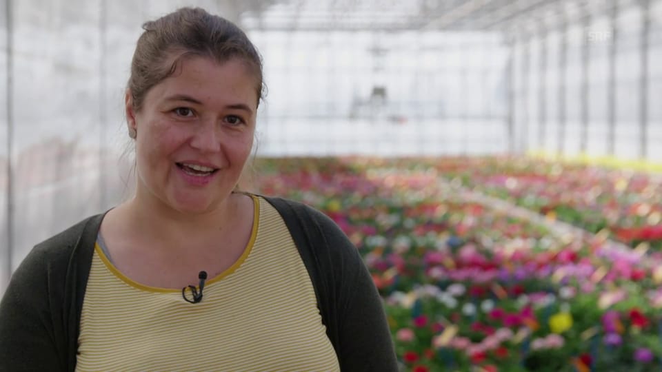 Meist werden Geranien nicht überwintert: Pflanzen-Züchterin Nina Neu erklärt warum