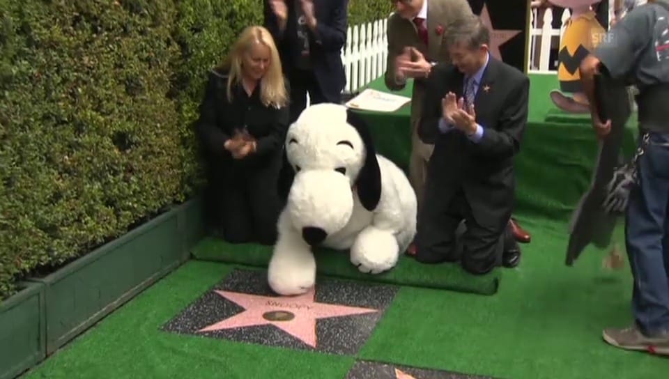 Snoopy auf dem «Walk of Fame»
