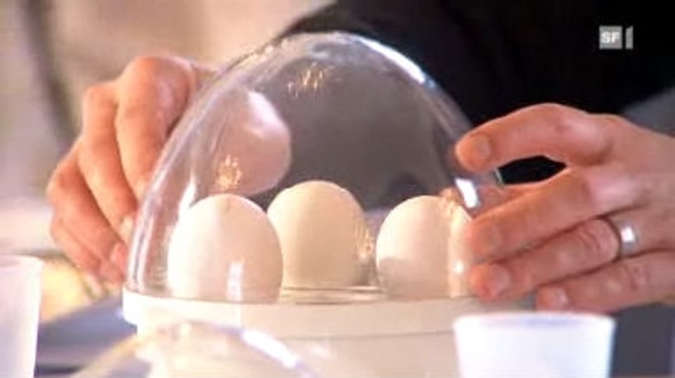 Eierkocher im Test: Viele nicht das Gelbe vom Ei