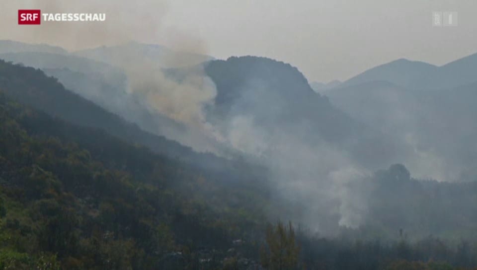 Waldbrände wüten auf dem Balkan