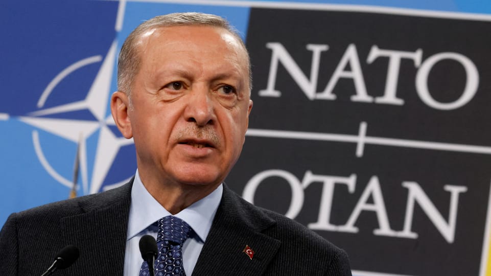 Türkisches Parlament sagt Ja zu Schweden in der Nato