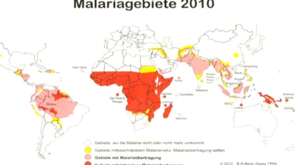 Malaria – Wann ist Prophylaxe nötig?