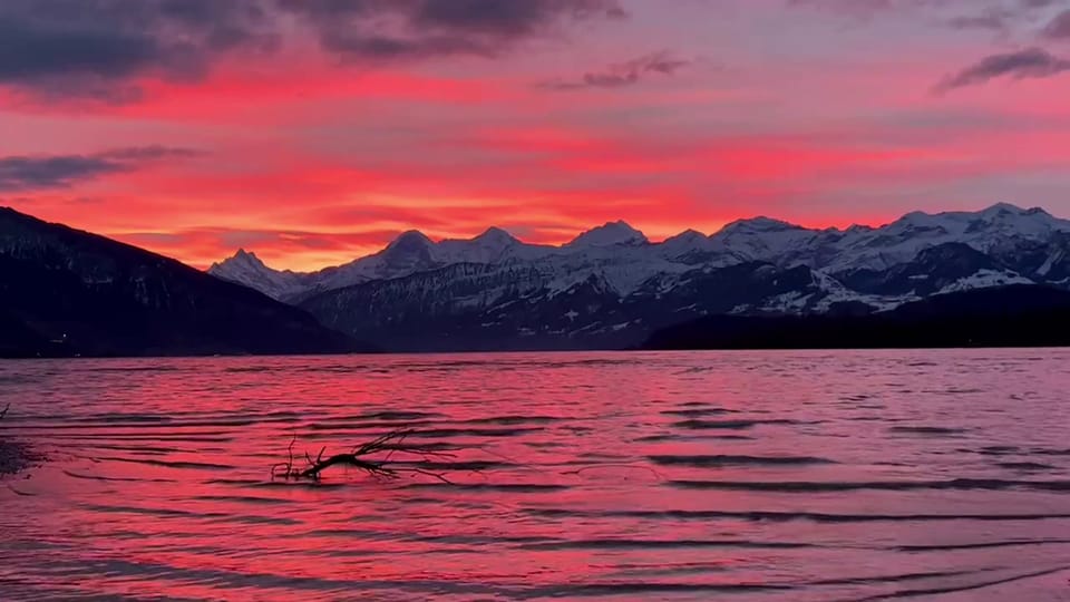 Morgenrot am Thunersee/BE, 11. Januar, Ursula Knecht