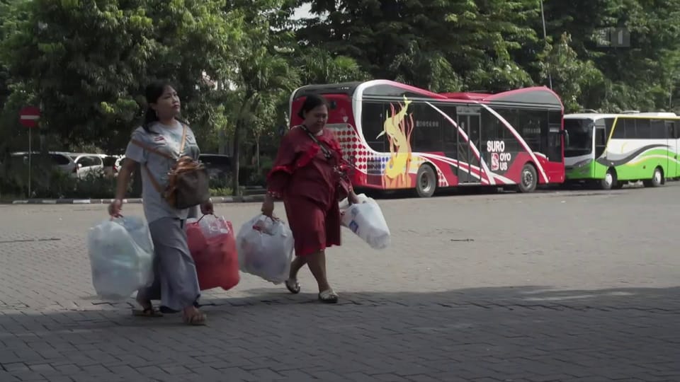 «Die Idee»: Kostenlos Bus fahren dank Plastikmüll