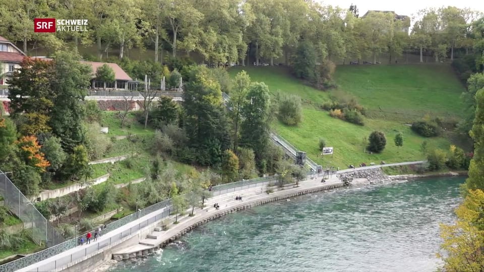 Der Bärenpark in Bern wird vergrössert