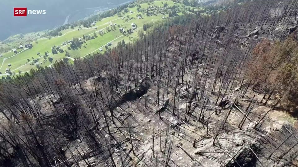 Nach Waldbrand in Bitsch (VS): Dörfer ohne Schutzwald