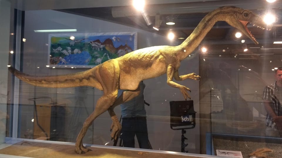 Dino-Forscherin Marion Zahner zum ersten Raubsaurier in der Schweiz