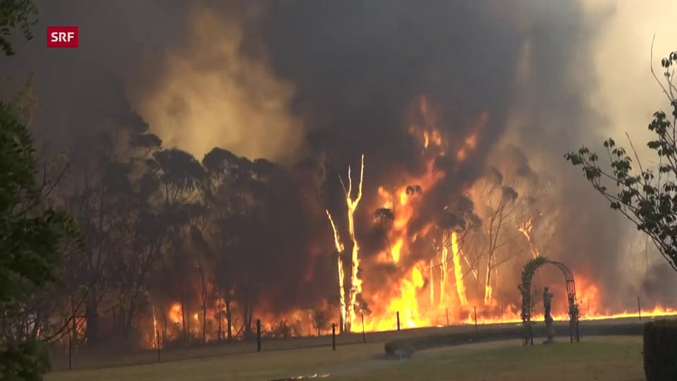 Aus dem Archiv: Buschbrände in Australien