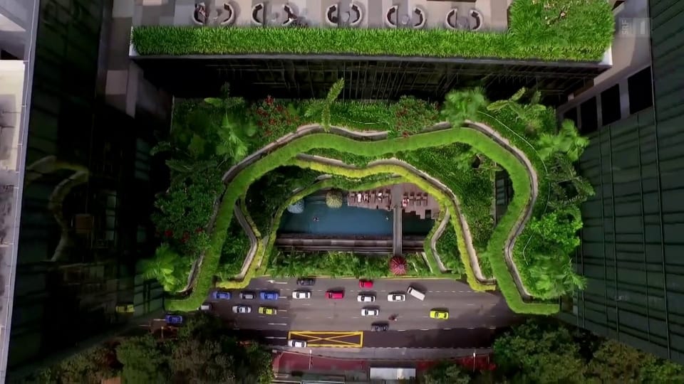 «Die Idee»: Dachgärten in Singapur helfen Stadtklima