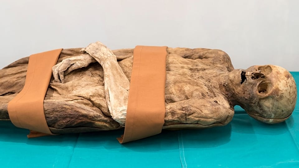 Freude beim Naturhistorischen Museum: Die Identität einer uralten Basler Mumie ist geklärt. Trauer hingegen beim Sportmuseum: Es muss schliessen.