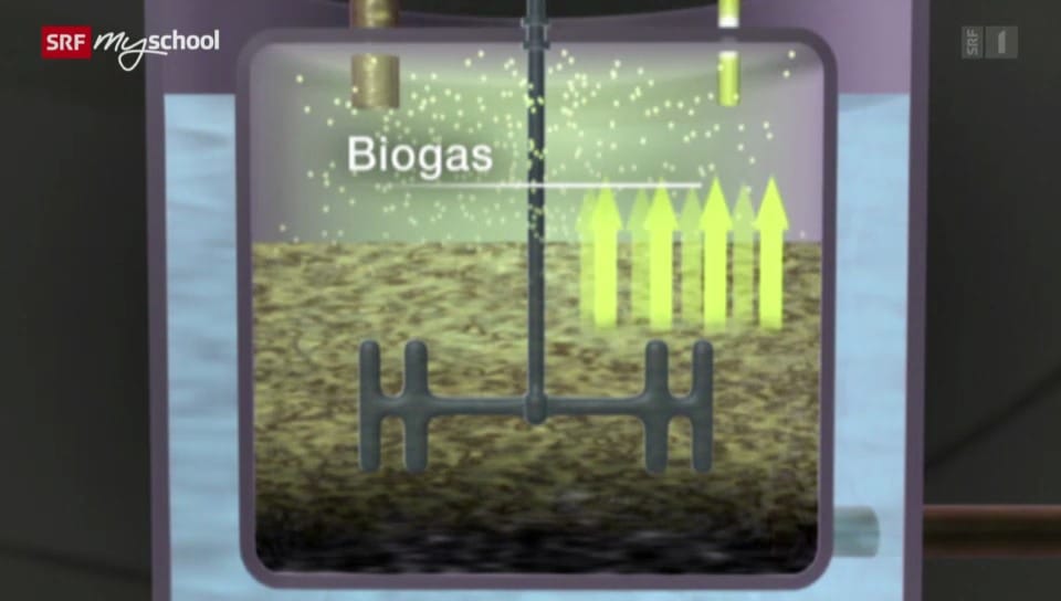 Energiewende: Biomasse – Unterschätztes Strompotenzial (3/5)