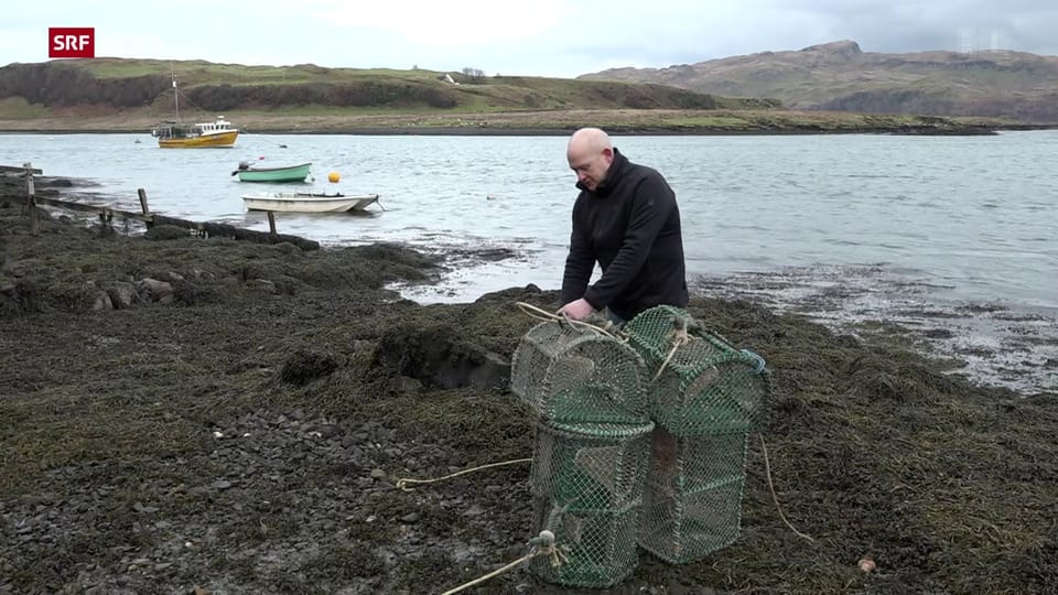 Aus dem Archiv: Britische Fischer beklagen Brexit-Hürden