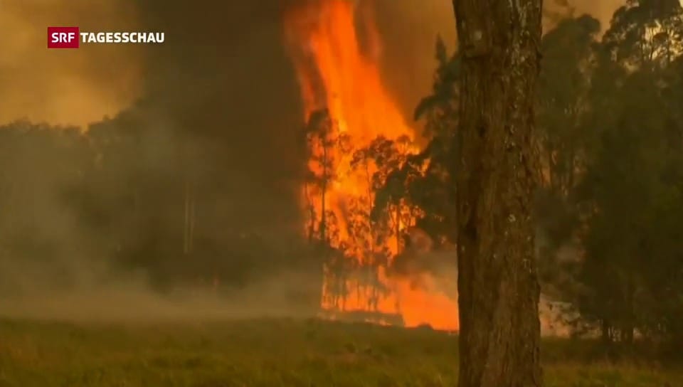 Aus dem Archiv: Buschbrände fordern Todesopfer