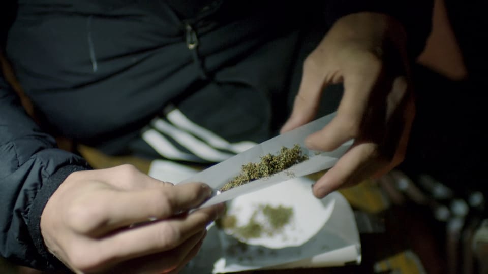 Aus dem Archiv: Jung und bekifft – Was Cannabis auslösen kann