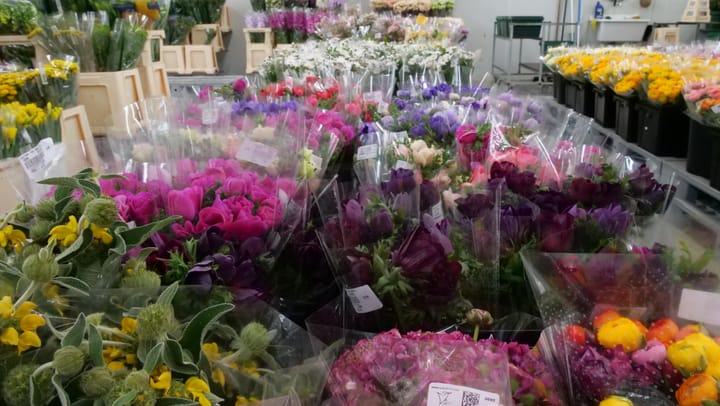Während die Gartencenter um ihre Existenz kämpfen, kann die Blumenbörse Kunden gewinnen. Diese können nicht mehr direkt beim Händler einkaufen.