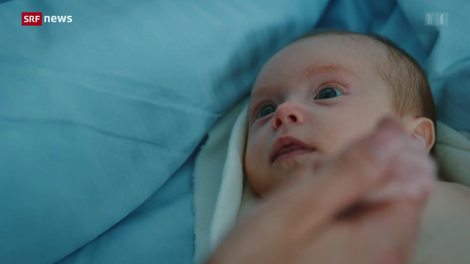 Archiv: Nationalrat will Eizellenspende in der Schweiz legalisieren Archiv: Nationalrat will Eizellenspende in der Schweiz legalisieren