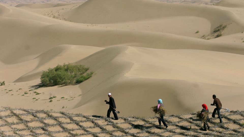 Der Kampf gegen die Wüstenausdehnung ist ein komplexes Problem