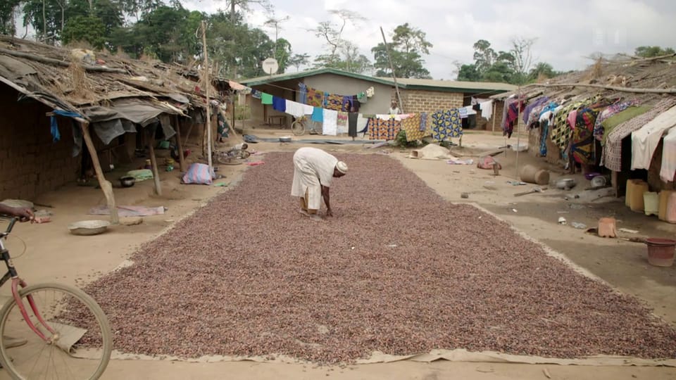 Fairtrade & UTZ in der Kritik: Bauern erhalten zu wenig Geld