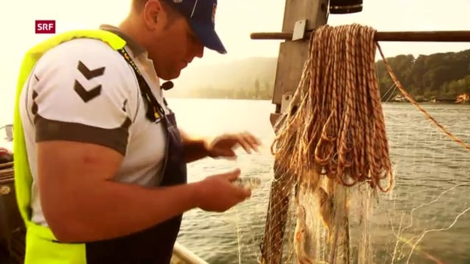 Schwingen: Christian Stucki unterwegs mit dem Berufsfischer